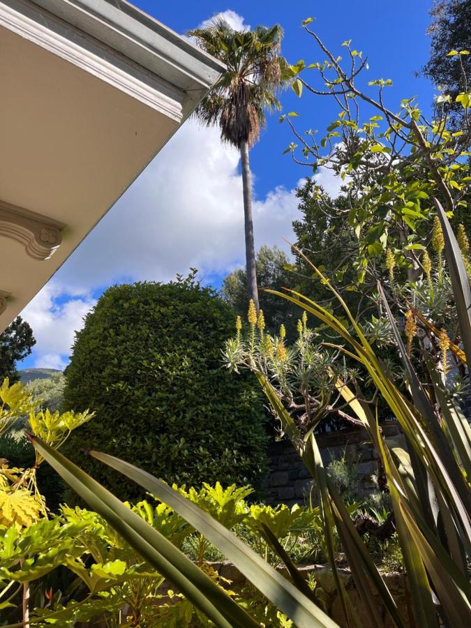 D'artisti Apartment Sanremo
