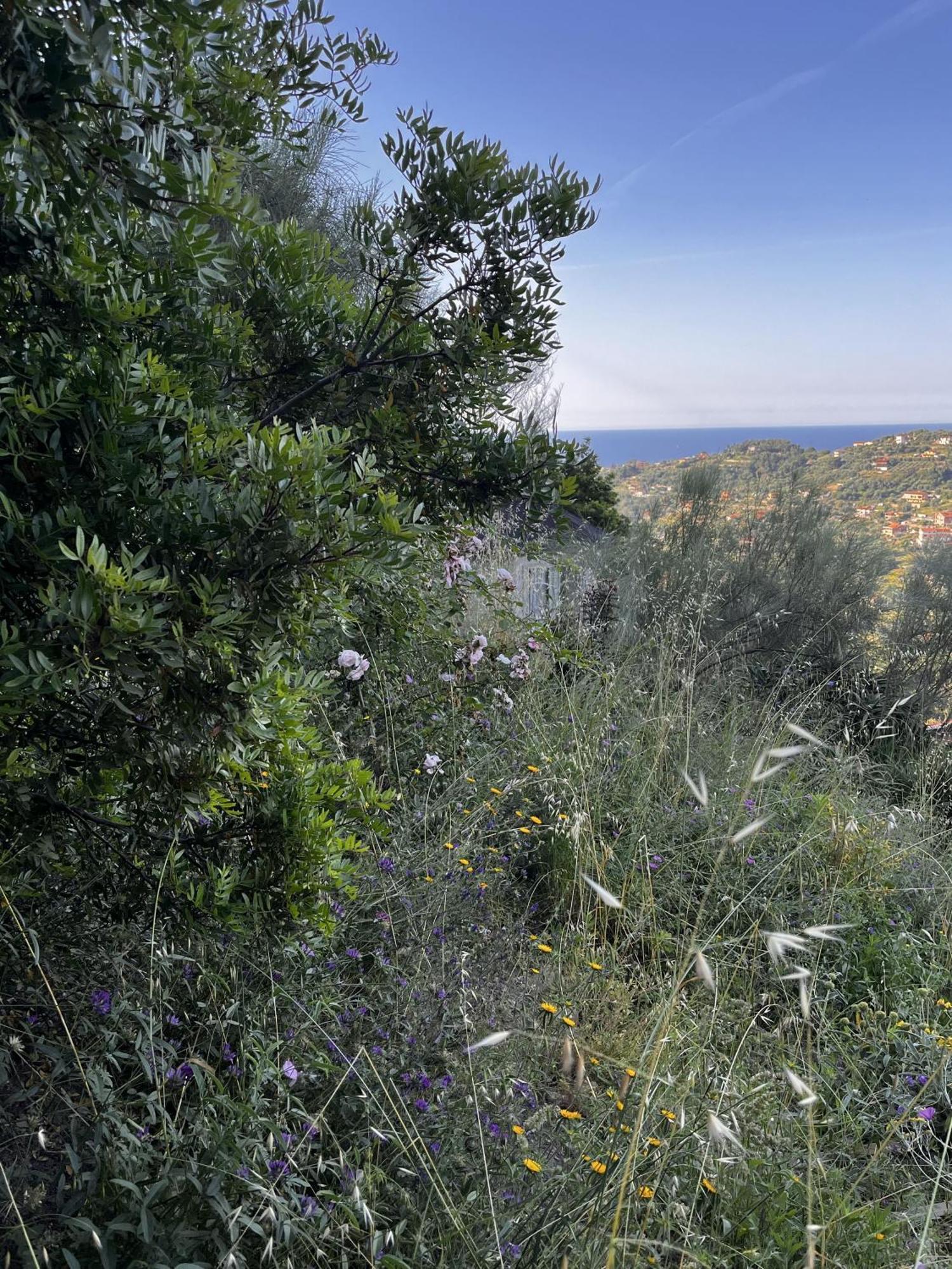D'artisti San Remo